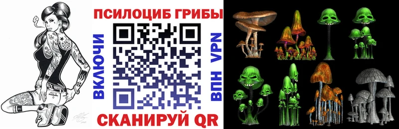 как найти   Дятьково  Псилоцибиновые грибы ЛСД 