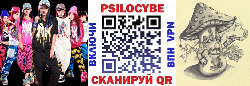 Псилоцибиновые грибы Psilocybine cubensis Дятьково